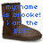 Brown boots with blue pixelated text reading 'my name is brooke! i am the BEST' on left boot and 'GISHMOGGEN' on right boot.