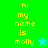 Pixelated text 'hi my name is molly' in yellow on green and cyan backgrounds with a star icon.