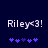 Pixelated text 'Riley<3!' in white on dark blue background with purple star-like symbols below, two identical frames showing animation cycle.