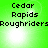 Green background with pixelated text 'Cedar Rapids' and 'Roughriders', two white circular light effects visible in different positions across frames.