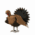 Animated turkey icon with eight sequential frames showing different poses against a white background.