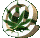 Animated sequence of circular and rectangular icons featuring green leafy symbols on beige backgrounds with white borders.