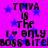 Pixelated text on a purple background with blue stars, repeating 'TMVA IS THE I ❤️ ONLY BOSS BITCH' in four quadrants.