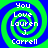 Four identical spiral patterns with green and blue concentric rings, each containing white text reading "You Love Lauren J. Carrell" in a pixelated font.