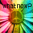 Pixelated image with vibrant multicolor background and black text reading 'what now?' in bold, blocky font.