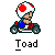 Pixel art of Toad in a go-kart with red and white mushroom cap, blue shirt, red pants, holding steering wheel; text 'Toad' below.