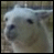 iconhell_deadreamlette_llama