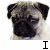 six pixelated pug faces with text overlays showing sequential animation changes from 'I' to 'LOVE PUGS!!'