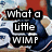 Pixelated image with bold black text reading "what a little WIMP" over a blurred background featuring blue, red, and white tones.