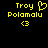 Yellow pixelated text and symbols on black background: 'Troy Polamalu' with heart symbol above 'Troy' on left, and same text with heart missing on right.