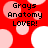 Red background with pink and white circles; black text reads 'Grays Anatomy LOVER!' in three lines. Four identical arranged in a , each showing the same static composition