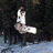 Animated sequence showing a person jumping in dark foliage, then snowboarding against blue sky with clouds.