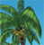 Pixelated palm tree with green fronds and brown trunk against light blue sky background, static image with no visible text or additional elements.