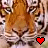 six tiger head close-ups with red pixel hearts, one frame missing in bottom-right