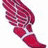 Six distinct winged foot icons displayed in a , each with unique color schemes and backgrounds