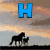 Four horse-themed arranged in a with blue letters H, K, S, and a red heart symbol overlaid on each