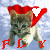 Animated buddy icon featuring a gray tabby cat wearing a red cone-shaped hat with a white heart, standing against a light blue pixelated background with red text "FLY" at the bottom.