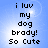 Pixelated text on a blue gradient background with white light effects, displaying 'i luv my dog brady! So Cute' in four identical