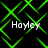 Green neon pattern with four instances of the text 'Hoyley' in white pixelated font on a black background