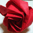 A static image shows a red rose on the left and red pixelated text on a black background reading "Rose, Rose Rose, Rose Will I Ever See Thee Wed? I will Marry at Thy will, Sire At Thy will".