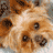 Animated sequence of a dog's face showing eye and mouth movements