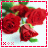 A 4-frame animated contact sheet of red roses with green leaves, each frame showing slight variations in petal position and leaf placement against a white background with a red dotted border.