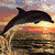 A four- shows a dolphin leaping over waves, a beach with palm trees and a boat, footprints on sand with 'SUMMER 09', and a tropical island with greenery and white sand