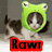 A cat wearing a green frog hat with large eyes, positioned above the word "Rawr" in various colored backgrounds.