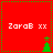 Red background with green dotted border, white text 'ZaraB xx', and a small green tree icon in the bottom-right corner of each quadrant.