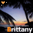 repeated sunset scenes with palm trees, each displaying the name 'Brittany' in white text and a small heart symbol above it