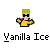 Pixelated character with green hair and black sunglasses in yellow shirt, two poses shown side-by-side.