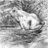 A grayscale animated icon shows a stylized horse head turning from left to right with visible mouth and eye details.
