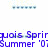 Pixelated blue text reads 'Quois Spring Summer '07' with a light blue and white pixelated pattern above on a white background.