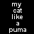 Four display the phrase 'my cat like a puma' in white pixelated text on black, dark red, bright red, and deep red backgrounds