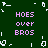 Pixelated green background with repeated pink text 'HOES over BROS' and scattered white pixel fragments.