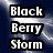 Animated icon displays 'Black Berry Storm' text in white block letters with black outlines against a dark blue background featuring light streaks, transitioning between different capitalization styles.