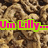 A static image with a brown textured background and multiple pink text phrases outlined in green, arranged across the frame.