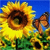 A pixelated sunflower with a brown center and yellow petals, accompanied by an orange butterfly on a blue background with green foliage.