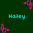 Pixelated icon with cyan text 'Hailey' on dark green background, surrounded by pink square-based symbols in various orientations.