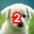 A white puppy with a black nose and dark eyes appears in six , with text overlays changing across frames