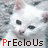 identical white kittens with black eyes and pink noses, each overlaid with the word 'Precious' in varying color schemes