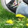 A static image shows a black shoe with colorful laces and blue denim jeans on green grass with yellow dandelions, with the word 'converse' in white text at the bottom left.