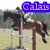 Pixelated image of two riders on brown horses jumping over a white fence, with blue text reading 'Calais' and 'SportHorses' in pink letters.