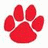 Red paw print icon with four distinct pads and a large central pad, displayed in two variations: one without text overlay and another with "BR" above the print.