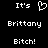 Pixelated text and a heart symbol on black background, with 'It's', 'Brittany', and 'Bitch!' in white.