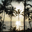 A beach scene with palm trees and a sunset, featuring text overlays that change between frames.