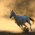 A blue horse runs left to right across a golden-brown background with a dark ground line.