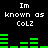 Pixelated green audio visualizer bars move rhythmically beneath repeated text reading "Im known as CoLZ" on a black background.