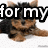 A four- of pixelated dog images with partial text overlays, each showing a different pose or cropped view of the same small breed dog
