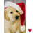 A golden retriever puppy wearing a red Santa hat with white trim appears in , each showing different heart symbol counts on the right side